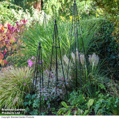 180cm H x 42cm W Metal Obelisk Trellis