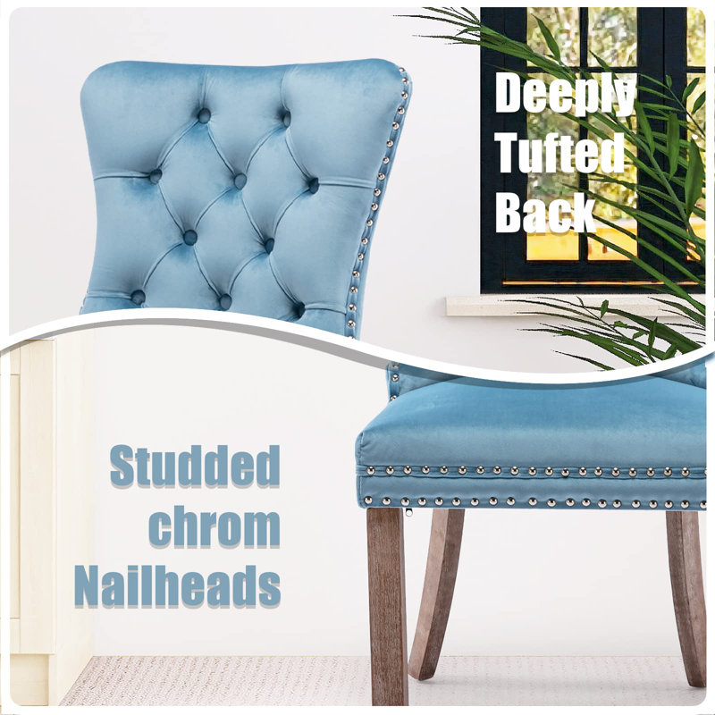 Sky-Blue Velvet Upholstered Dining Chairs with Wood Legs, Set of 6
