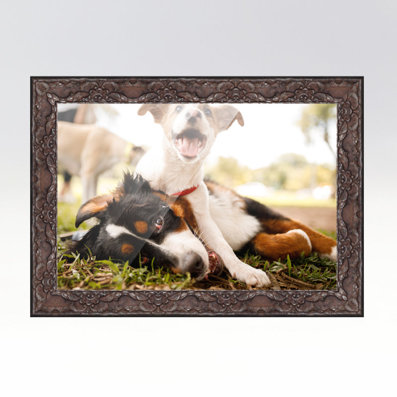 Cadre photo Cornellious, Brun, L 15 po x H 18 po