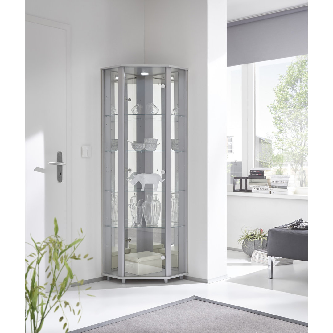 Elizel Corner Curio Cabinet with Lighting