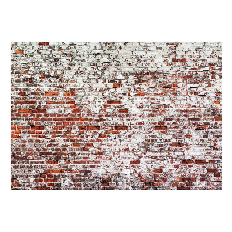 Old House Brick Wall Wall Mural, 96" L x 137" W