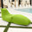 Vert lime