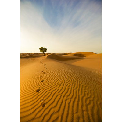 Desert footprints 824899724