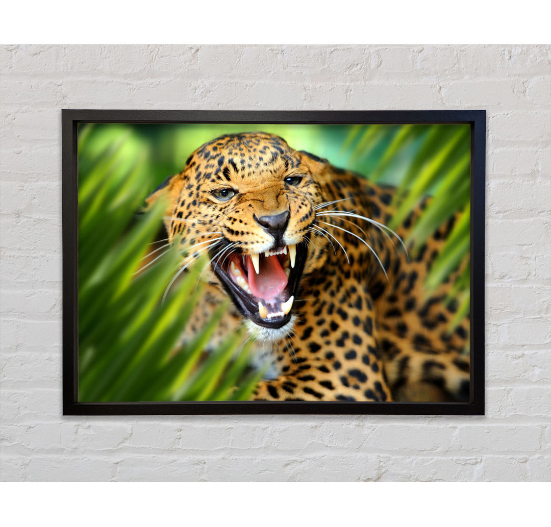 Wilder Leopard im Gras - Einzelner Bilderrahmen Kunstdrucke auf Leinwand