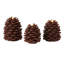 Ensemble de bougies sans flamme Pinecone-928970012-928970014