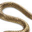 Serpent Animals Decorative Object
