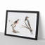 Songbird & Bee-Eater Bird by Johan Teyler - Framed Print-55726161-55726156