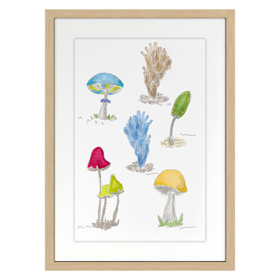 Mushrooms 1 Print by Dana Gibson
