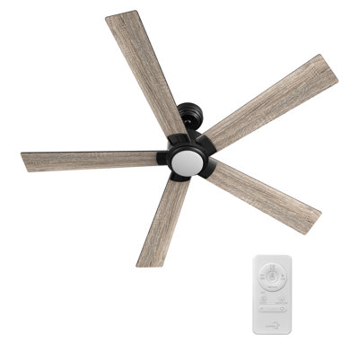 60'' Ceiling Fan with LED Lights