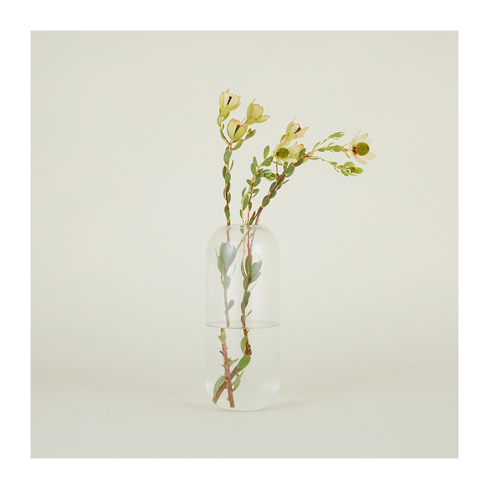 Aurora Handmade Glass Table Vase, Clear, 12.5" H x 5" W x 5" D