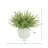Arrangement in Pot-1107871784