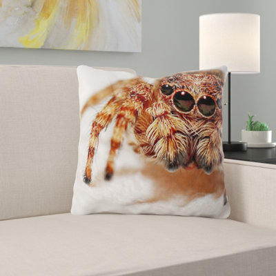 Coussin de spider
