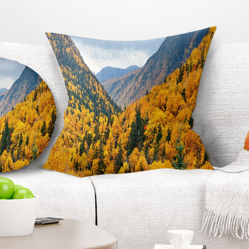 Coussin Schafer, 16 po x 1 po, Coussin décoratif