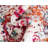 Lucile Oriental Indoor Rug-88135195