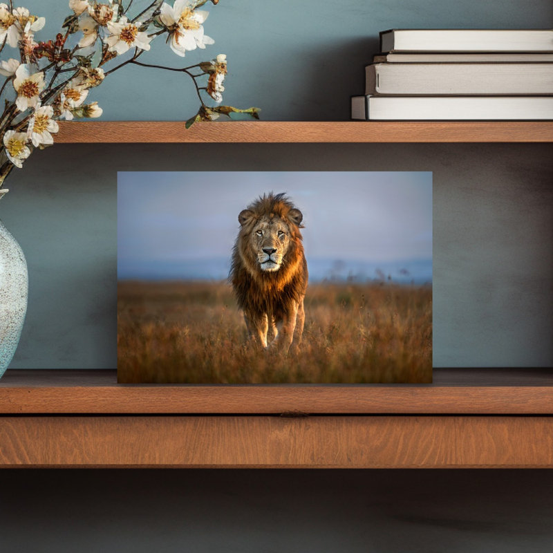 Print, 30.48cm H x 45.72cm W