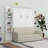 Murphy Bed With Sofa-1954507598