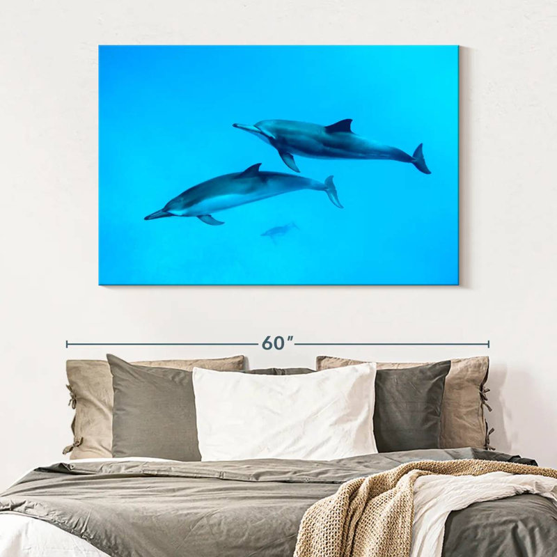 Brampt Maui Spinner Dolphins, 34" H x 51" W