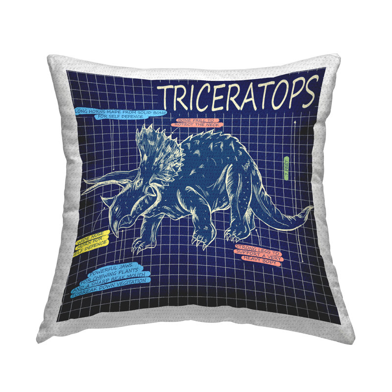 Outdoor Throw Pillow