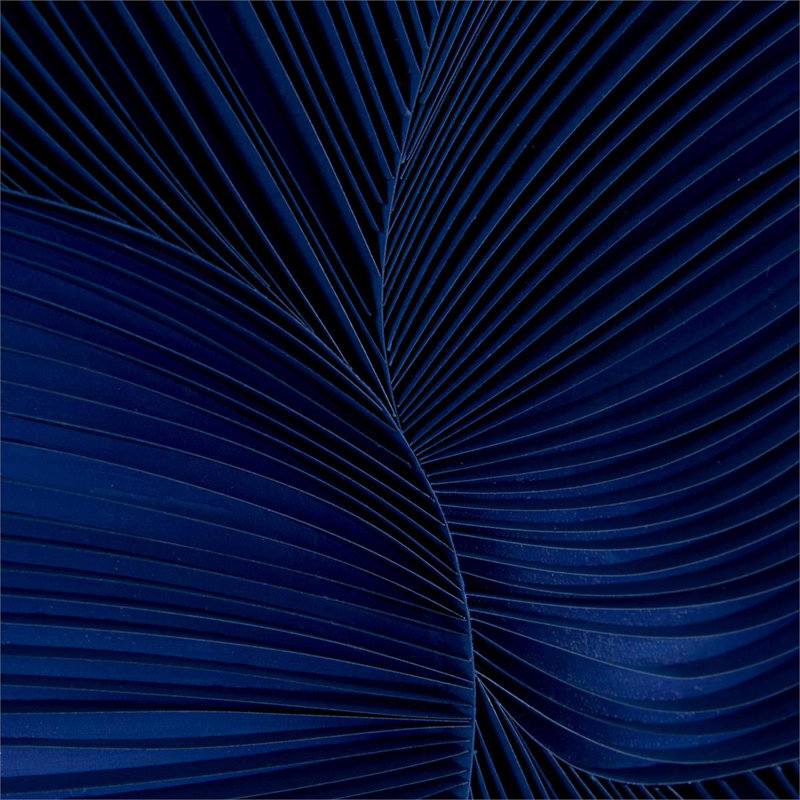 Indigo de Tony Fey