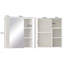 Aaleeyah Wall Mounted Required Bathroom Cabinet