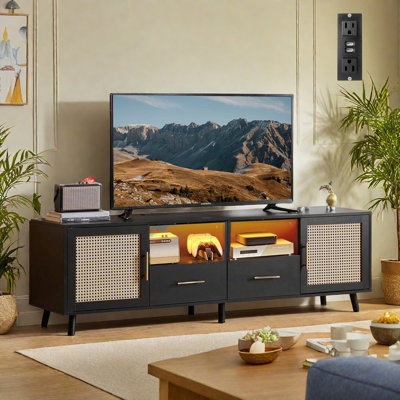 Heyer Wood and Rattan TV Stand