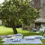 Muara Cobalt Outdoor Rug-2136832849