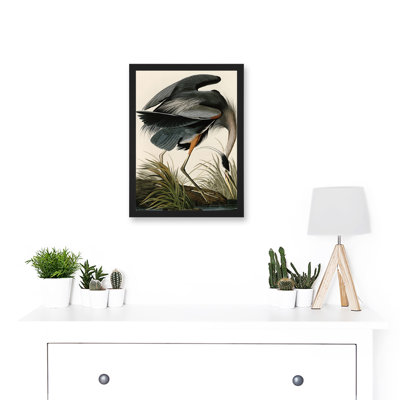 Audubon Birds Great Blue Heron Nature Animals - Single Picture Frame Print