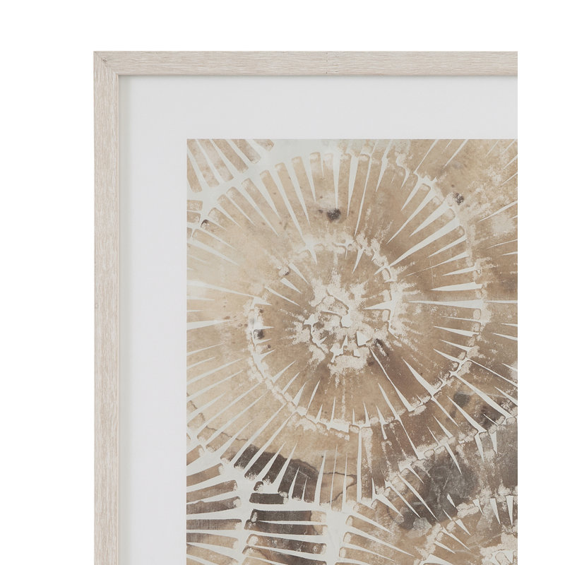 Fossil Nautilus, ensemble de 2 reproductions encadrées - Édition limitée, art de grange