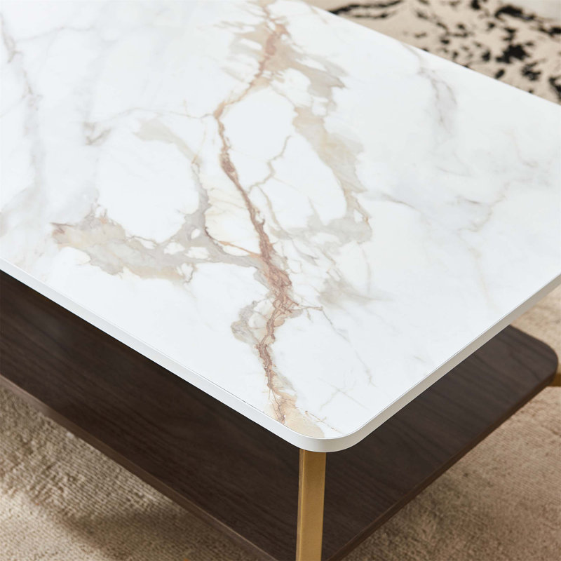 Table basse élégante avec rangement ouvert et structure en métal durable pour les salons modernes