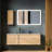 Deatrich Rectangle LED Metal Wall Mirror