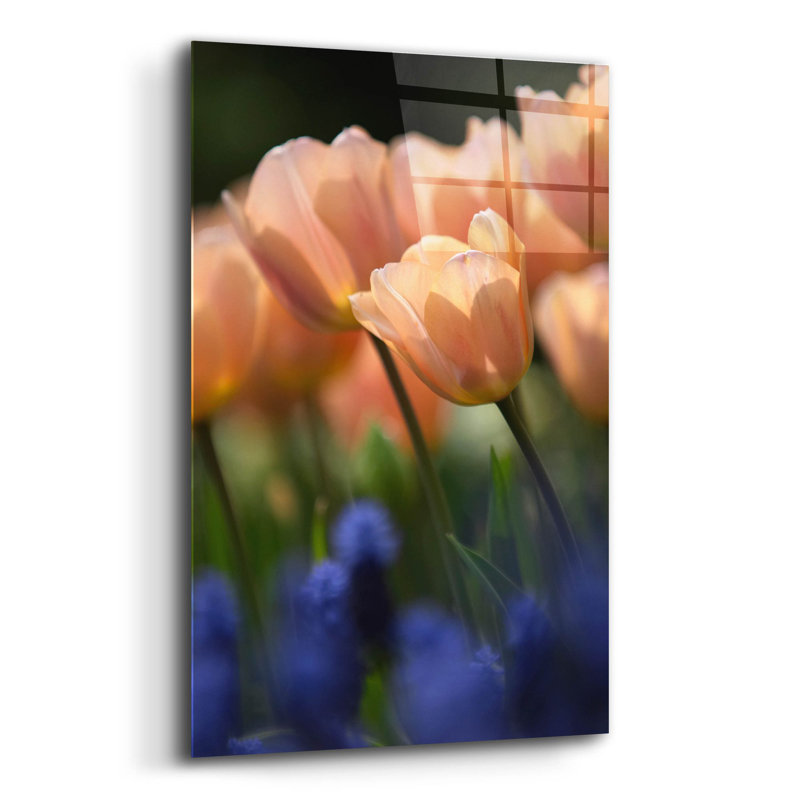 On Plastic/Acrylic Print, 12" W x 16" H