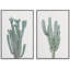 Cactus du désert du sud-ouest vert Photographie Nature sauvage Photographie Plan rapproché Rustique-101752726-101752729