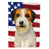 Russell Terrier sélectionné