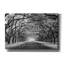 «Wormsloe Inf Light» par Mike Jones, estampe numérique sur toile-1332351257