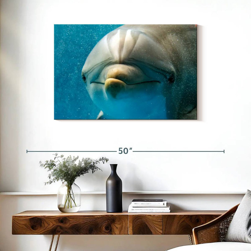Brampt Nosy Dolphin, 24" H x 36" W