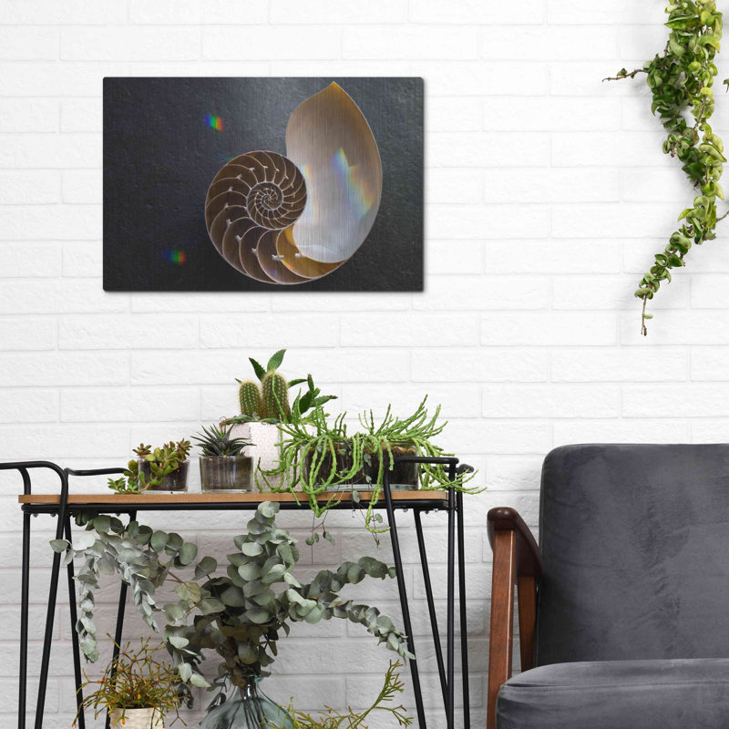 " Sacred Geometry Nautilus Shell " by Elena Ray, 12" H x 16" W