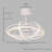 Mihaiu 19.69'' Ceiling Fan-1974305091