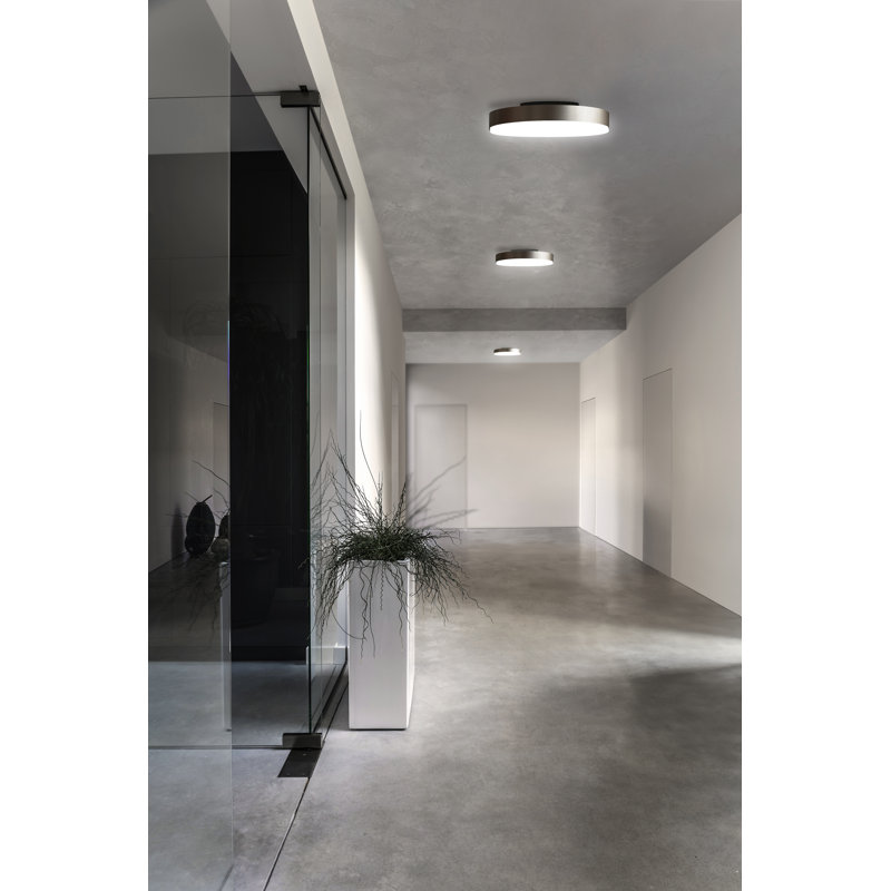 Discus Ceiling Lamp, Polished Nickel, Matte White