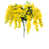 Jaune est en rupture de stock