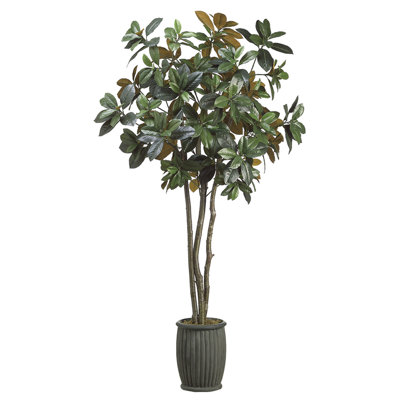 7'MAGNOLIA TR.IN CEMENT.PLANTER