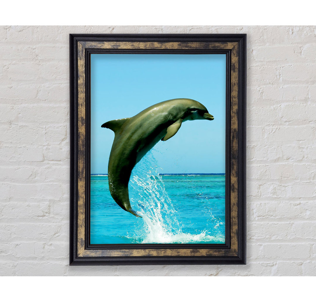 Gerahmtes Bild Dolphin Jump