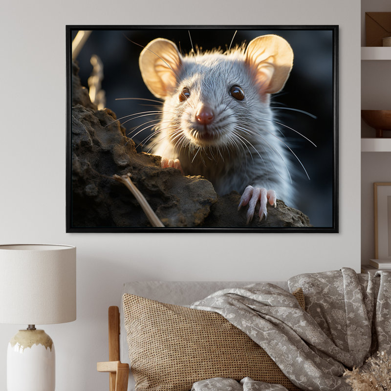 Portrait d'un mignon rongeur sur toile, Cadre flottant noir, H 12 po x l 20 po x P 1 po