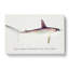 Illustration of a Hammerhead Shark by F.E. Clarke - Wrapped Canvas-55360381