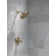 Rain Dual Shower Head with H2Okinetic Technology