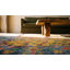 Happy Yellow Gold Color Antique Cotton Pile Indian Agra Floral Rug