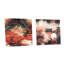 Lazerte - Japan Acrylic Wall Art Glass Set Of 2-103929638