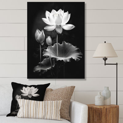 Symphonie de lotus gris gris I