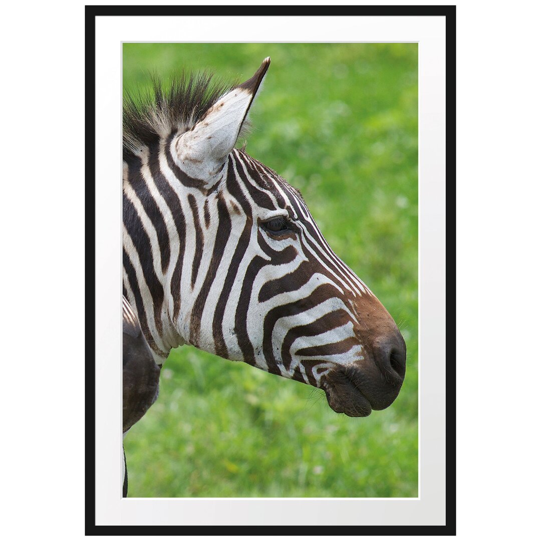 Gerahmtes Poster Schönes Zebrapaar