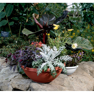 Bol à fleurs rond intérieur / extérieur Terra