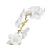Thylane Accessory 1